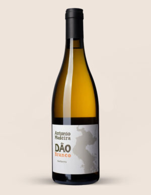 Antonio Madeira Dão Branco 2021