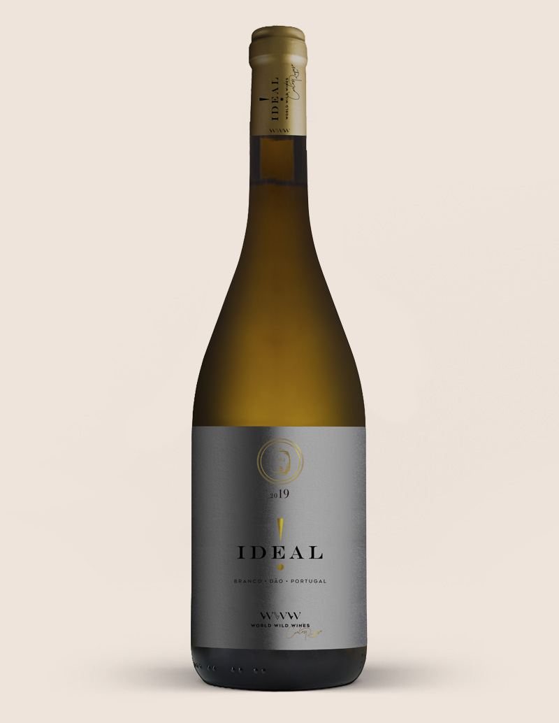 Carlos Raposo Ideal Branco DÃO DOC 2019