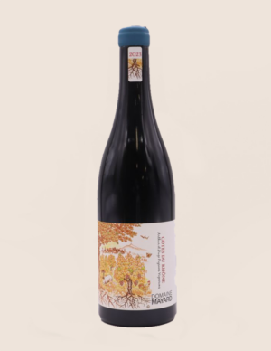 Domaine Mayard Côtes-du-Rhône Rouge 2023