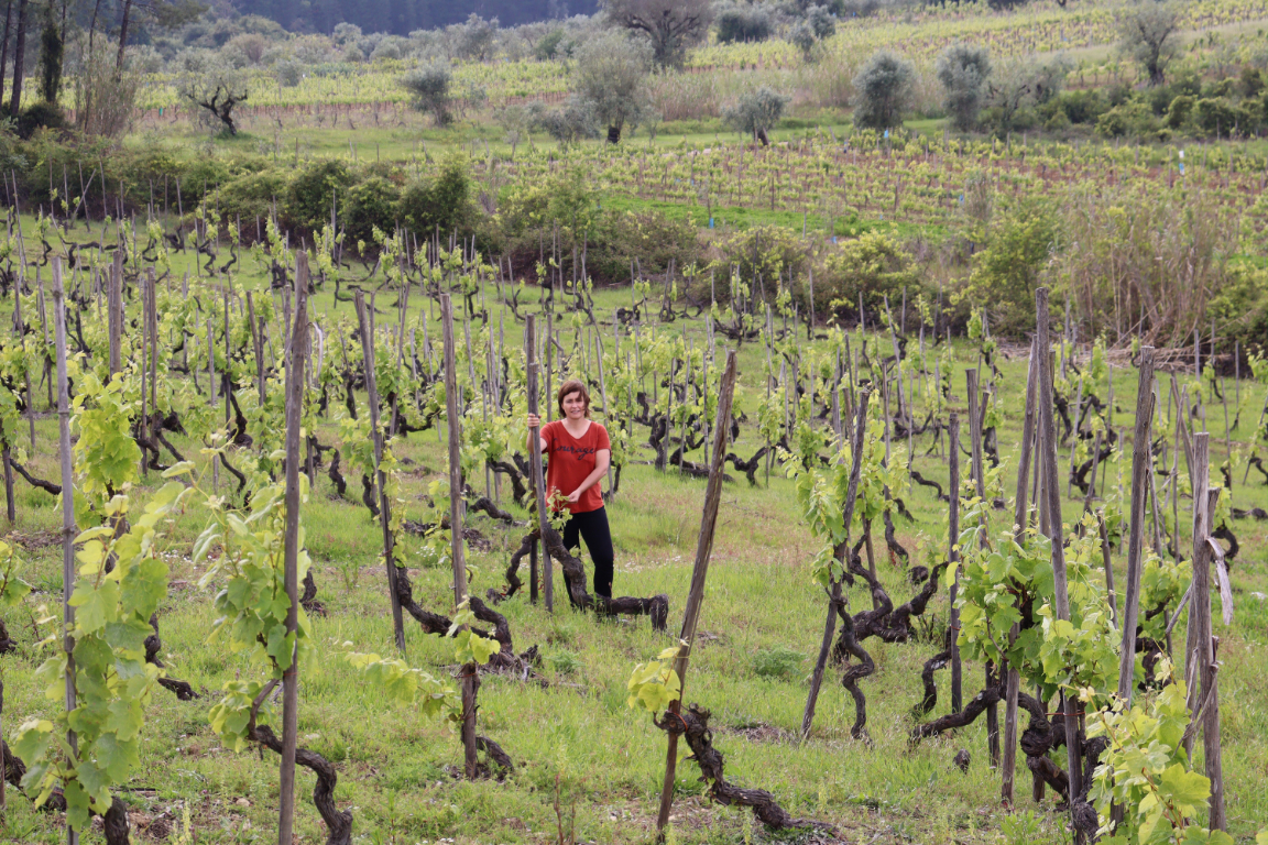 Pato & Wouters Terroir