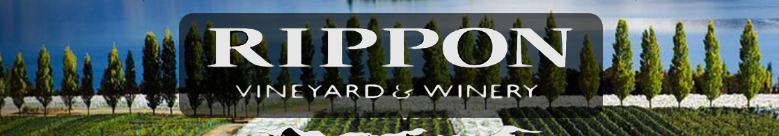 Rippon Off The Bandaid Featured Image