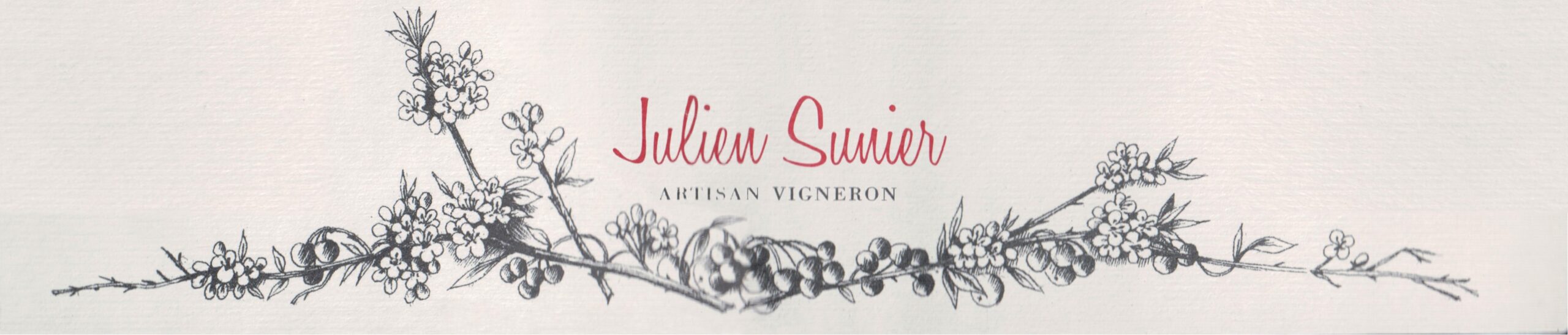 Julien Sunier Banner