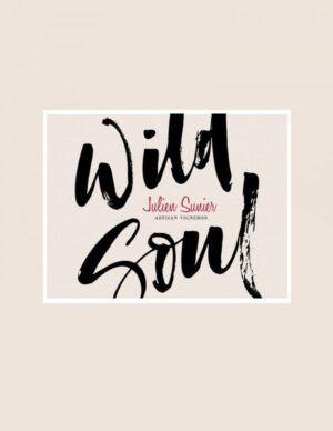 Julien Sunier Wild Soul Beaujolais Village Tasting Selection (6 x Bottles)